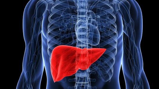 Fatty Liver : இந்த 8 எளிய வழிகள் போதும்! பாதிக்கப்பட்ட உங்கள் கல்லீரல் புதிதாக மாறும்! கடைபிடிப்பதும் எளிது!