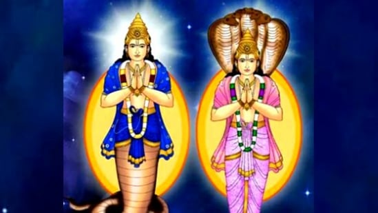அசுப கிரகங்களில் ஒருவராக விளங்க கூடியவர் ராகு பகவான். ராகு கேது எப்போதும் இணைபிரியா கிரகங்களாக விளங்கி வருகின்றனர். எப்போதும் பின்னோக்கிய பயணத்தில் இருக்கக்கூடியவர்கள். கடந்த ஆண்டு அக்டோபர் மாத இறுதியில் ராகு பகவான் மீன ராசியில் நுழைந்தார். இந்த ஆண்டு முழுவதும் இதே ராசியில் பயணம் செய்வார். ராகு பகவான் ஒரு ராசியிலிருந்து மற்றொரு ராசிக்கு செல்ல 18 மாதங்கள் எடுத்துக் கொள்கிறார்.