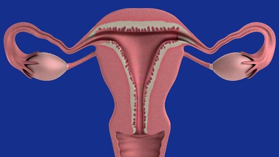 Ovarian Cancer : எச்சரிக்கை பெண்களே! உங்களுக்கு கருப்பை வாய் புற்றுநோய் உள்ளதா என்பதை அறியும் எளிய வழி! 