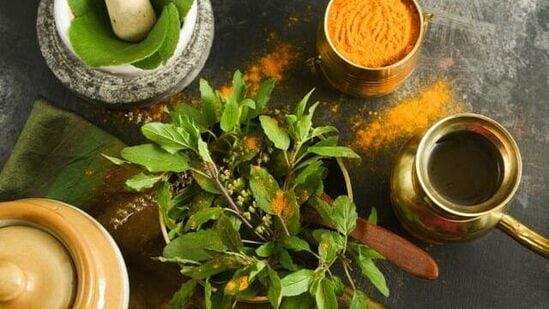 துளசி சாற்றில் தேன் மற்றும் இஞ்சி கலந்து குடிப்பதால் மூச்சுக்குழாய் அழற்சி, ஆஸ்துமா, காய்ச்சல், இருமல் மற்றும் சளி ஆகியவற்றில் நிவாரணம் கிடைக்கும்.