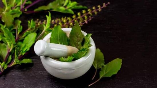 துளசி மன அழுத்தத்தைக் குறைக்கப் பயன்படுகிறது. அவை மூளையில் உள்ள நரம்பியக்கடத்திகளான செரோடோனின் மற்றும் டோபமைனை சமநிலைப்படுத்துகின்றன.