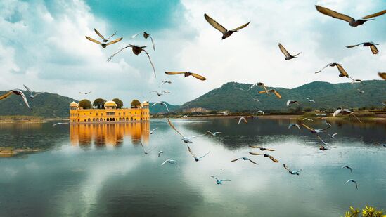 பாரம்பரிய சடங்குகள், ஊர்வலங்கள் மற்றும் கலாச்சார நிகழ்ச்சிகளை வெளிப்படுத்தும் வசந்த காலத்தின் வண்ணமயமான கொண்டாட்டமான கங்கௌரின் பண்டிகைகளுடன் ஜெய்ப்பூர் உயிர்ப்பிக்கப்படுவதால் இளஞ்சிவப்பு நகரத்தின் துடிப்பான வண்ணங்களை அனுபவிக்கவும்.&nbsp;