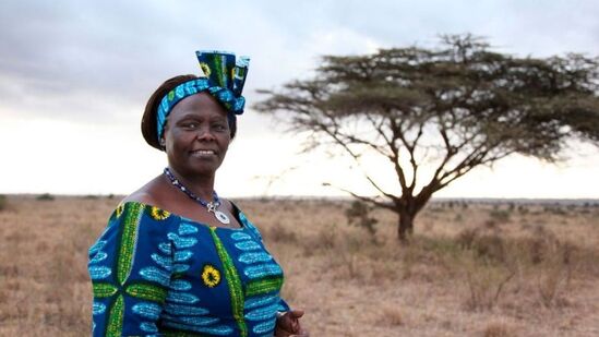 Wangari Maathai : பூமிக்கு பசுமைப்போர்வை போர்த்திய வன தேவதை வங்காரி மாத்தாய் பிறந்த தினம் இன்று!