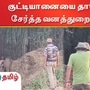 குட்டி யானையை தாய் யானையுடன் சேர்த்த வனத்துறையினர்