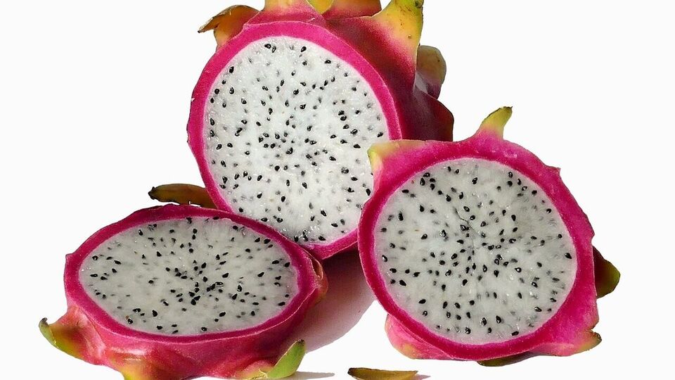 Dragon Fruit Benefits கோடையில் டிராகன் பழத்தை சாப்பிடுவதால் கிடைக்கும் நன்மைகள் குறித்து