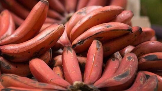 Benefits of Red banana : கண் பார்வையை கூராக்கும்! மார்பக புற்றுநோய் செல்களை அழிக்கும்! செவ்வாழையில் இத்தனை நன்மைகளா? 