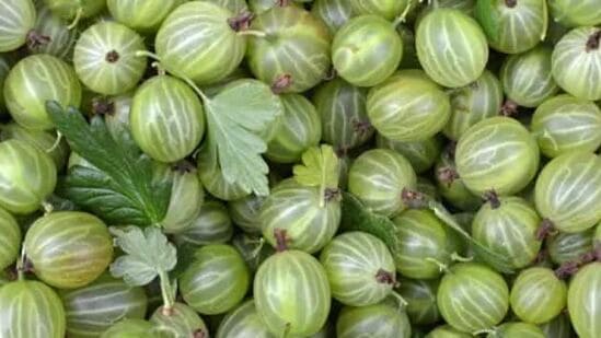 முடிக்கு நன்மை பயக்கும் - நெல்லிக்காய் முடி நரைப்பதை தடுப்பதுடன் முடி உதிர்வையும் குணப்படுத்துகிறது.