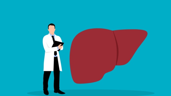 World Liver Day 2024 : 2030ம் ஆண்டில் கல்லீரல் கோளாறுகள் 35 சதவீதம் அதிகரிக்கும் – உலக சுகாதார நிறுவனம் எச்சரிக்கை!