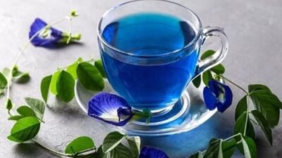 Benefits of Sangupoo Tea : சங்குப்பூ தேநீர் பருகுவதால் உங்கள் உடலில் ஏற்படும் நன்மைகளை தெரிந்துகொள்ளுங்கள்.