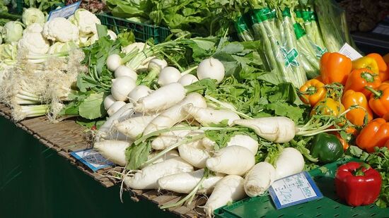 Benefits of Radish : சிறுநீரை பெருக்கி, கோடையின் வறட்சிக்கு தேவையான நீர்சத்தை வழங்கும் முள்ளங்கியின் நன்மைகள்!