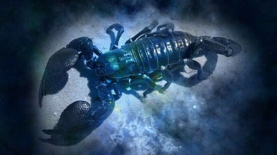 Scorpio Horoscope : பிஸியான அலுவலக நேரம்; மகிழ்ச்சியான காதல் வாழ்க்கை விருச்சிக ராசிக்காரர்களுக்கு பரபரப்பான நாள்!