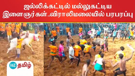 விராலிமலை மெய்க்கண்ணுடையாள் கோயில் சித்திரை திருவிழாவையொட்டி ஜல்லிக்கட்டு போட்டி நடைபெற்றது.