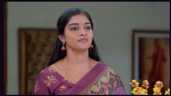 கார்த்திகை தீபம் அப்டேட்!