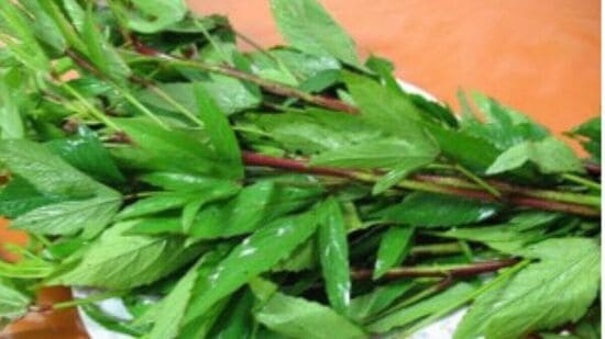 Gongura Benefits : பாலியல் நோய்களுக்கு தீர்வு; பார்வை குறைபாட்டை சரிசெய்யும் புளிச்சக்கீரையின் நன்மைகள்!