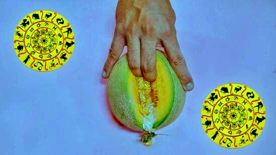 சில ராசிகாரர்கள் அந்தந்த கிரகங்களுக்கு ஏற்றவாறு ஒரு தனிப்பட்ட குணாதிசயத்தில் வாழ்ந்து வருவார்கள். அப்படிப்பட்ட ராசிக்காரர்களின் சிலர் காதலித்து திருமணம் செய்து தங்களது குடும்பத்தை நடத்த வேண்டும் என நினைப்பார்கள். ஒரு சிலர் திருமணம் செய்யாமலேயே ஒன்றாக வாழ்ந்து செல்ல வேண்டும் என நினைப்பார்கள். அந்த வகையில் ஒரு சில ராசிக்காரர்கள் உடலுறவில் மட்டும் அதிக ஈடுபாடு கொண்டிருப்பார்கள். அது எந்தெந்த ராசிகள் என்பது குறித்து இங்கு காணலாம்.&nbsp;