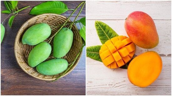 ‘மாங்காய் vs மாம்பழம்!’ உங்கள் ஆரோக்கியத்திற்கு எது சிறந்தது? இதோ முழு விவரம்! ‘மாங்காய் vs மாம்பழம்!’ உங்கள் ஆரோக்கியத்திற்கு எது சிறந்தது? இதோ முழு விவரம்!