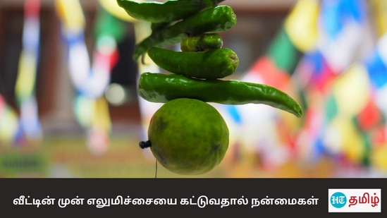 Lemon: வீட்டு வாசலில் எலுமிச்சை பழம் கட்டினால் கிடைக்கும் பயன்கள் வீட்டு வாசலில் எலுமிச்சை பழத்தை பலர் கட்டித் தொங்க விட்டிருப்பார்கள். அது ஏன் என தெரியுமா? வாங்கப் பார்க்கலாம்.