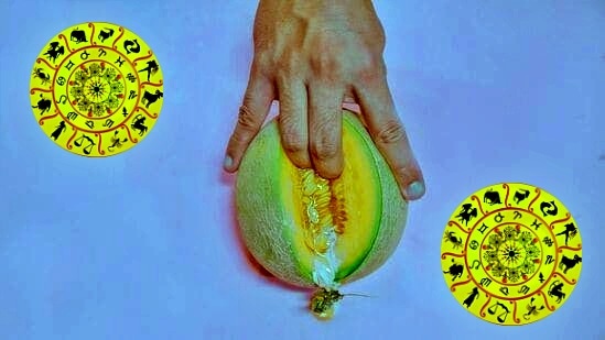 நவகிரகங்கள் அவ்வப்போது தங்களது இடத்தை மாற்றுவார்கள் அதற்காக சில காலங்கள் எடுத்துக் கொள்வார்கள். நவக்கிரகங்களின் இடமாற்றத்தின் பொழுது அனைத்து ராசிகளுக்கும் கட்டாயம் தாக்கம் இருக்கும். நவகிரகங்களின் இடமாற்றத்தை கொடுத்து ஒருவரின் ஜாதகம் எழுதப்படுவதாக ஜோதிட சாஸ்திரம் கூறுகிறது.&nbsp;