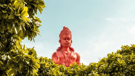 விருச்சிகம்: இந்த ராசியினருக்கு அனுமனின் ஆசியால், கடினமான பணிகளையும் எளிதில் செய்து முடிப்பீர்கள். அனுமன் வழிபாடு பல நல்ல பலன்களை விருச்சிக ராசியினருக்குத் தரும்.