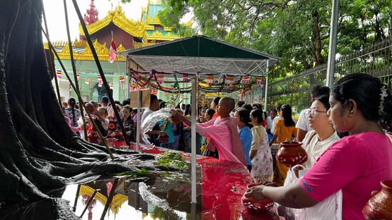ஆயிரக்கணக்கான ஆண்டுகளுக்கு முன்பு, இந்தியாவில் புத்தர் ஞானம் பெற்ற மரத்தின் வேரிலிருந்து பதியம்போடப்பட்டு, மியான்மரின் யாங்கூனில் இருக்கும் போதி மரத்திற்கு நீர் ஊற்றுவதற்காக மக்கள் வரிசையாக நின்றனர்.