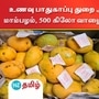 உணவு பாதுகாப்பு துறை அதிரடி.. 500 கிலோ மாம்பழம், 500 கிலோ வாழைப்பழங்கள் பறிமுதல்