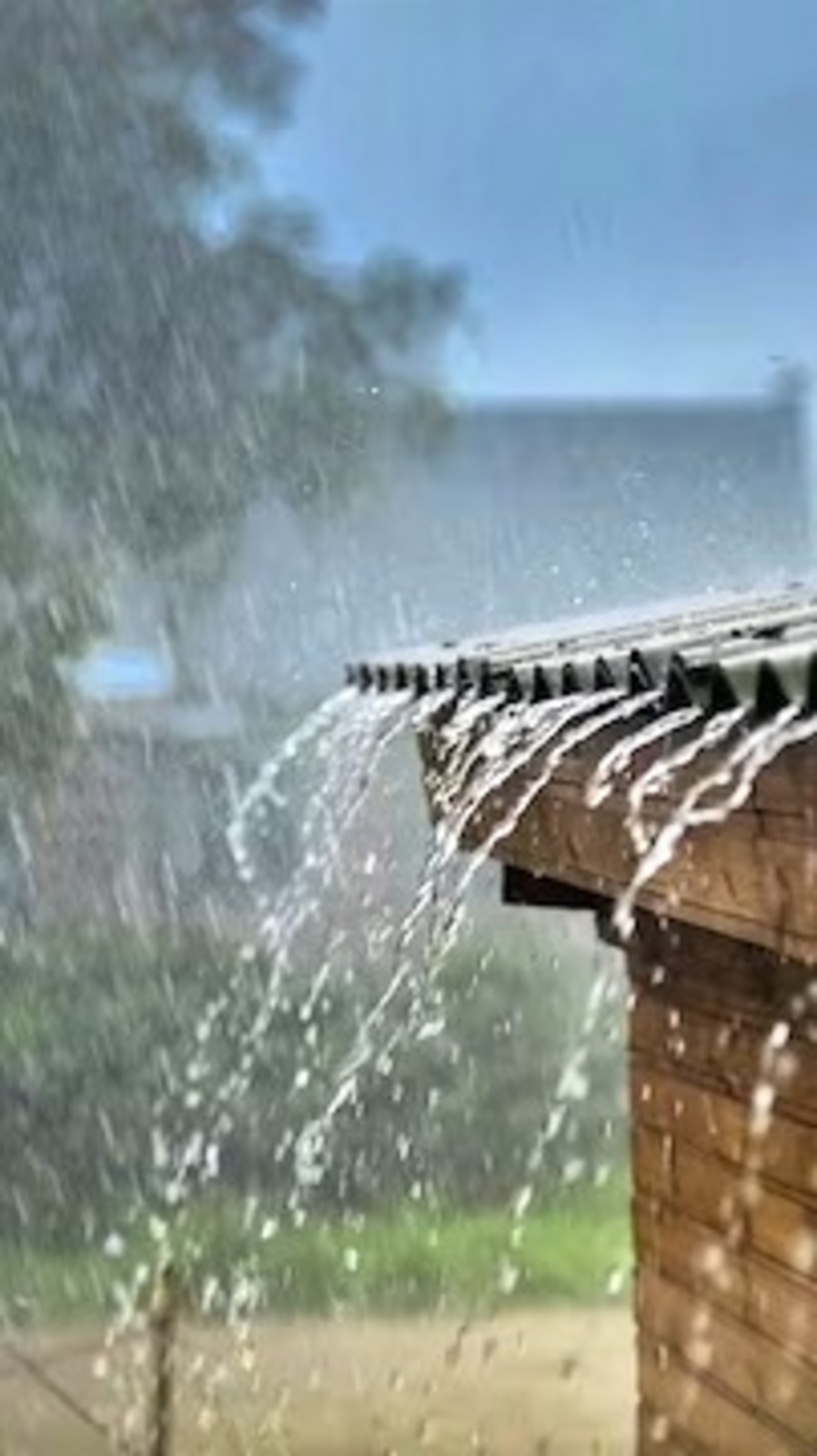 மழைக்காலத்தில் இதை சாப்பிடுங்க போதும்