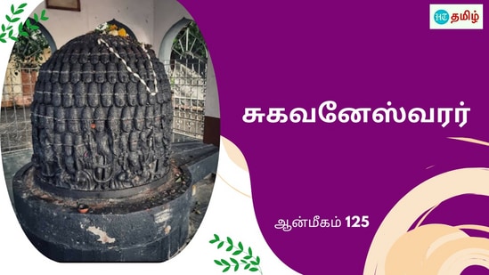 பிரம்மதேவர் கொடுத்த சாபம்.. கிளியாக மாறிய முனிவர்.. வேண்டுதலால் காட்சி கொடுத்த சுகவனேஸ்வரர் பிரம்மதேவர் கொடுத்த சாபம்.. கிளியாக மாறிய முனிவர்.. வேண்டுதலால் காட்சி கொடுத்த சுகவனேஸ்வரர்