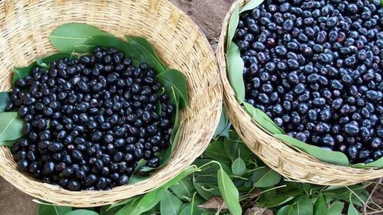 நாவல் பழங்கள், இலைகள் மற்றும் விதைகள் நீரிழிவு நோயாளிகளுக்கு மிகவும் பயனுள்ளதாக இருக்கும். இதன் இலைகள், விதைகள் மற்றும் தண்டு ஆகியவை சர்க்கரை நோய்க்கான மருந்துகளை தயாரிக்க பயன்படுகிறது.