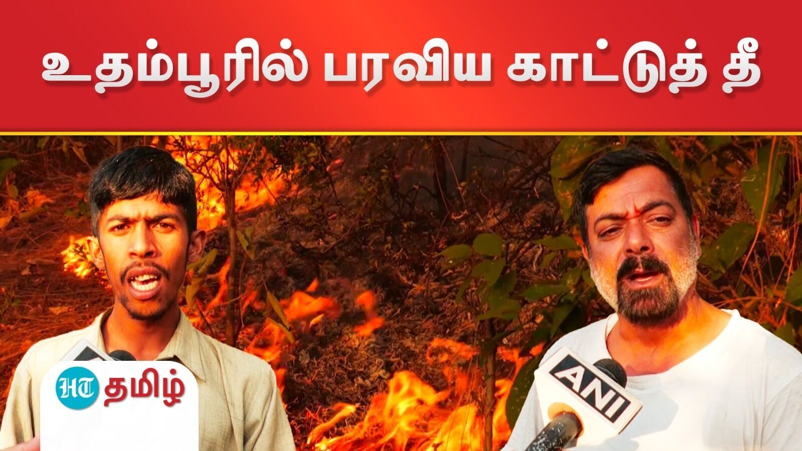 Wildfire: ஜம்மு-காஷ்மீரின் உதம்பூரில் காட்டுத் தீ