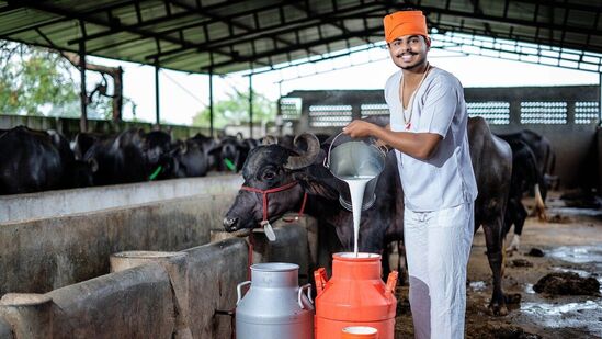 குழந்தையின் உயிர்காப்பான்.. பாலின் முக்கியத்துவம் மற்றும் அதன் பயன்கள்.. இன்று உலக பால் தினம்!