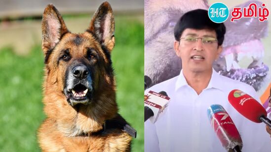 Dogs vs Children: 'நாயை குழந்தை என்கிறீர்கள்; அது குழந்தைகளை கடிப்பது நியாமா?’ ராதாகிருஷ்ணன் ஐ.ஏ.எஸ் சரமாரி கேள்வி!