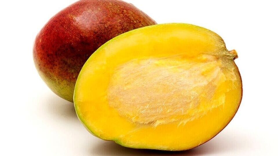 Mango seeds benefits in Tamil: மாங்கொட்டைகளை உணவில் எடுப்பதால் கிட்டும் நன்மைகள்: அதை உங்கள் உணவில் சேர்ப்பதற்கான வழிகள்