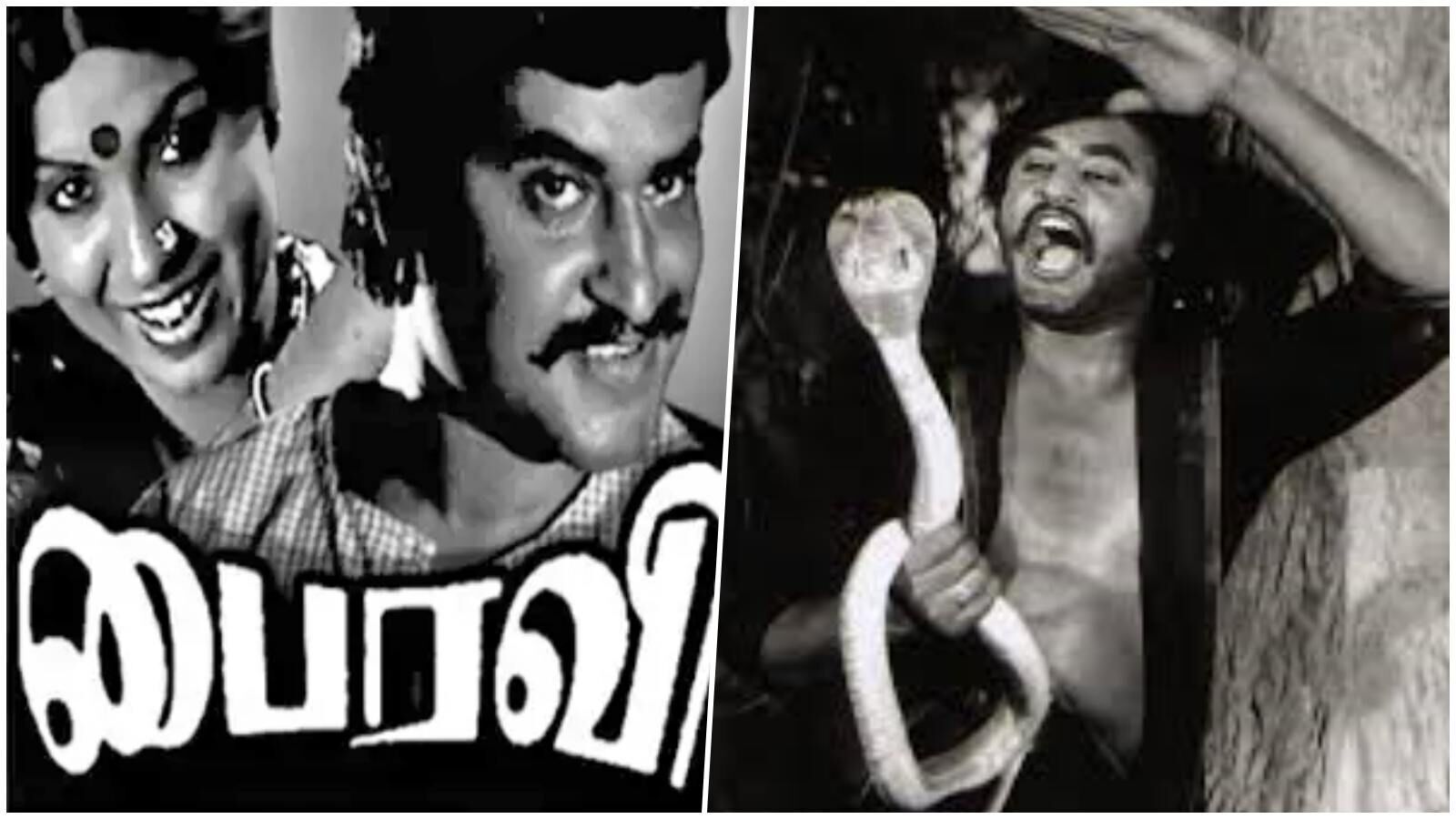 46 Years of Bairavi: சோலோ ஹீரோவாக ரஜினிக்கு திருப்புமுனை!சூப்பர் ஸ்டார் பட்டமும்,பாம்பு சென்டிமென்டும் ஒட்டி கொண்ட படம்