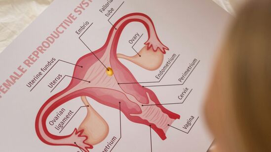 Bacterial Vaginosis : பெண்களே பிறப்புறுப்பில் ஏற்படும் தொற்றுக்களால் அவதியா? இதோ வீட்டிலேயே செய்யும் எளிய தீர்வுகள்!