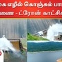 பாபநாசம் அணையின் பிரத்யேக கழுகு பார்வை காட்சிகள்.