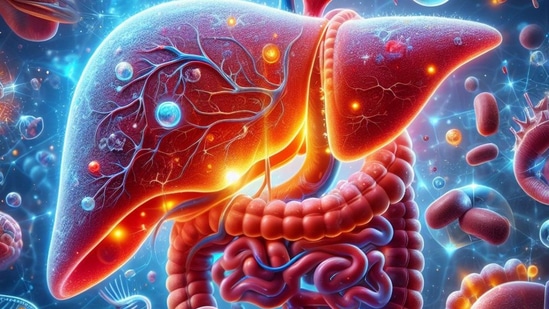Liver Cancer : ஈரல் புற்றுநோயை விரட்டியடிக்கும் மருத்துவ மூலிகை! ஆராய்ச்சியாளர்கள் கண்டுபிடிப்பு! Liver Cancer : ஈரல் புற்றுநோயை விரட்டியடிக்கும் மருத்துவ மூலிகை! ஆராய்ச்சியாளர்கள் கண்டுபிடிப்பு!