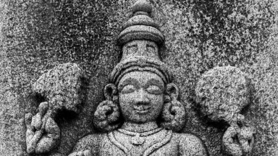 பார்ப்பவர் நீண்ட ஆயுளையும் மோட்சத்தையும் (முக்தி) பெறுவார் என்று கூறப்படுகிறது. பொதுவாக, மரணத்தின் கடவுளான யமனின் தூதர்கள், மரணத்திற்குப் பிறகு ஒரு நபரின் ஆத்மாவை தீர்ப்புக்காக அழைத்து வந்து, அவர்களின் தலைவிதியை ஸ்வர்கா (சொர்க்கம்) அல்லது நரகத்தில் (நரகம்) தீர்மானிக்கிறார்கள். இருப்பினும், நிர்ஜலா ஏகாதசி சடங்குகளைக் கடைப்பிடிப்பவர்கள் யமனின் தீர்ப்பிலிருந்து விலக்கு பெற்றவர்கள் என்று நம்பப்படுகிறது, அதற்கு பதிலாக விஷ்ணுவின் தூதர்களால் இறந்த பிறகு விஷ்ணுவின் இருப்பிடமான வைகுண்டத்திற்கு அழைத்துச் செல்லப்படுகிறார்கள்.