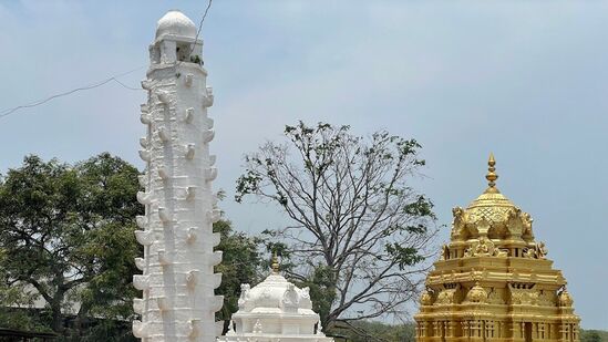 அனந்தகிரி பயணம் ஒரு நாளில் முடிவடைந்துவிடும். ஒவ்வொரு வாரமும் சனி மற்றும் ஞாயிற்றுக்கிழமைகளில் மட்டுமே தெலங்கானா சுற்றுலாத் துறையால் நடைமுறைப்படுத்தப்படும் இந்தப் பயணத்தை மேற்கொள்ள முடியும். இது ‘ஹைதராபாத் டூ அனந்தகிரி ஒரு நாள் பேக்கேஜ் டூர்’ என்ற பெயரில் சுற்றுலாத்துறையினர் மூலம் இயக்கப்படுகிறது.&nbsp;