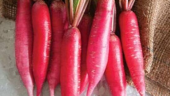 முள்ளங்கி சாப்பிடுவதும் ஆரோக்கியத்திற்கு மிகவும் நன்மை பயக்கும். ஏனெனில் இதில் நிறைய ஆன்டி ஆக்ஸிடன்ட்கள் உள்ளன. செரிமான அமைப்பை ஆரோக்கியமாக வைத்திருப்பதோடு மட்டுமல்லாமல், இது சருமத்தை சுத்தப்படுத்துகிறது மற்றும் நச்சுத்தன்மையைப் போக்குகிறது. இது சரும நோய்கள் குணமடைய உதவுகிறது.&nbsp;