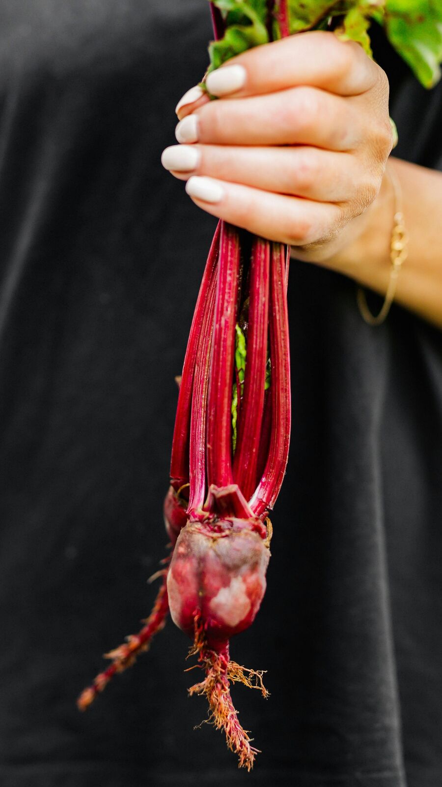 ரத்த அழுத்தத்தை குறைக்கும்.. குடல் ஆரோக்கியத்தை பாதுகாக்கும் பீட்ரூட்!