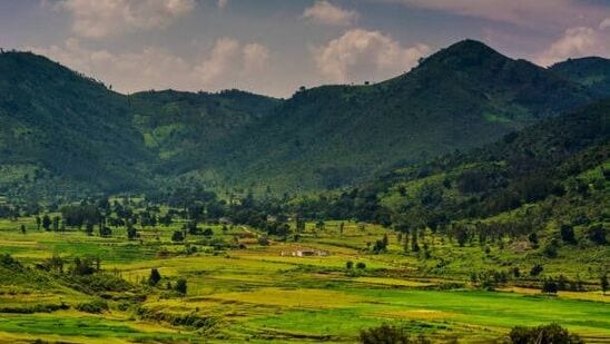 அரக்குவை பார்க்க தெலங்கானா சுற்றுலாத்துறை ஒரு பேக்கேஜை மிகக் குறைந்த விலையில் அறிவித்துள்ளது. இந்த தொகுப்பு ஹைதராபாத்தில் இருந்து இயக்கப்படும்.&nbsp;