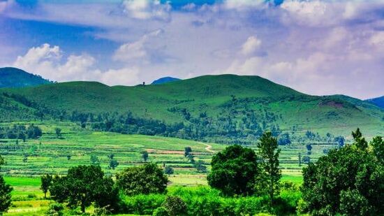 இந்த பேக்கேஜ் அரக்கு டூர் - தெலங்கானா சுற்றுலா என்ற பெயரில் கிடைக்கிறது.&nbsp;&nbsp;ஒவ்வொரு புதன்கிழமை தேதிகளிலும் இந்த தொகுப்பு கிடைக்கும். இந்த பயணம் 4 நாட்கள் தொடரும். அன்னாவரம், சிம்ஹாசலம், விசாகப்பட்டினம், ஆர்.கே.பீச், கைலாசகிரி, அரக்குவில் போரா குகைகள், அனந்தகிரி மற்றும் சில இடங்களை நீங்கள் பார்க்கலாம்.