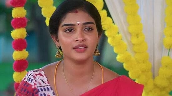 போட்டோகிராபரை சுற்றி வளைத்த அருண், ஆனந்த்.. ரம்யாவுக்கு ஷாக் கொடுத்த சாமியார் - கார்த்திகை தீபம் இன்றைய எபிசோட் அப்டேட்!