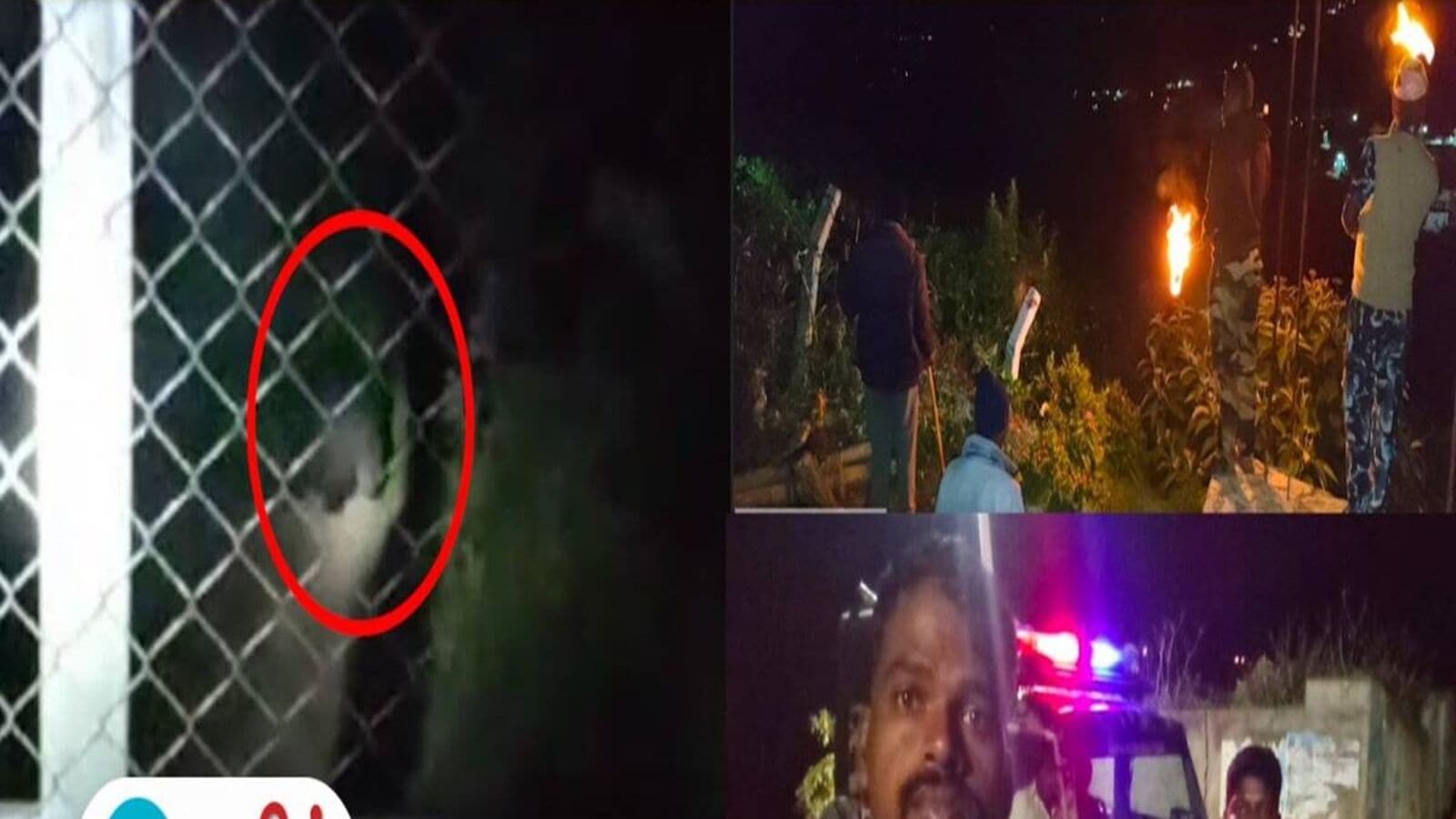 Bear Video: குன்னூர் அருகே குடியிருப்பு பகுதிக்குள் புகுந்த கரடியால் பரபரப்பு!
