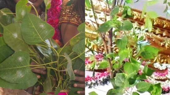 நம் முன்னோர்கள் எது செய்தாலும் அதற்கு பிறகு ஆழமான ஒரு நல்ல விஷயம் நிரம்பி இருக்கிறது.&nbsp;
