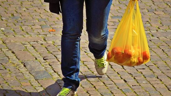International Plastic Bag Free Day 2024 : ‘புதியதேர் உலகம் செய்வோம்! கெட்ட பிளாஸ்டிக் பயன்பாட்டை வேரோடு சாய்ப்போம்! International Plastic Bag Free Day 2024 : ‘புதியதேர் உலகம் செய்வோம்! கெட்ட பிளாஸ்டிக் பயன்பாட்டை வேரோடு சாய்ப்போம்!