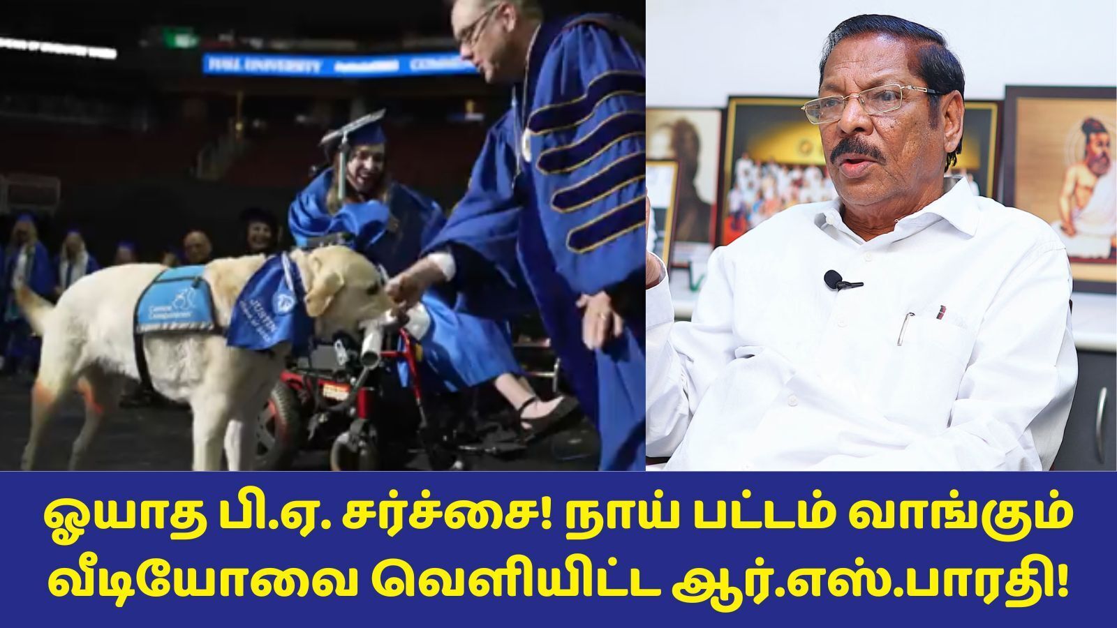RS Bharathi: கல்லூரியில் பட்டம் வாங்கும் நாய்! ஆர்.எஸ்.பாரதி வெளியிட்ட வீடியோ! பி.ஏ. சர்ச்சைக்கு முற்றுப்புள்ளியா?