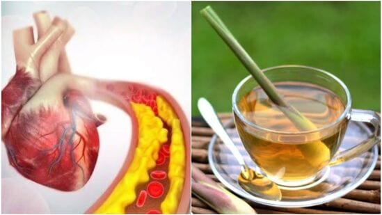 Tea Benefits : லெமன் கிராஸை டீயை அதிகம் குடிக்காதீர்கள். ஒரு நாளைக்கு இரண்டு முறைக்கு மேல் குடித்தால், தலைசுற்றல், வாய் வறட்சி, அதிக சிறுநீர் கழித்தல், மூச்சுத் திணறல், இதயத் துடிப்பு அதிகரிப்பு போன்ற பிரச்சனைகள் காணப்படுகின்றன. கர்ப்பிணிப் பெண்கள் லெமன் கிராஸ் டீயைத் தவிர்க்க வேண்டும்.