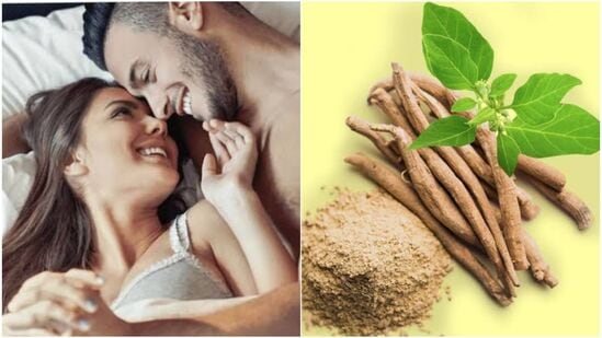 Ashwagandha Benefits : அஸ்வகந்தா இயற்கையான பாலுணர்வை ஏற்படுத்தும் பண்புகளைக் கொண்டுள்ளது. இது கருவுறுதல் ஊக்கியாக செயல்படுகிறது. உங்கள் ஆயுட்காலம் அதிகரிக்க விரும்பினால், தினமும் அஸ்வகந்தா பொடியை உணவில் சேர்த்துக்கொள்ளுங்கள்.