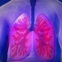 lungs